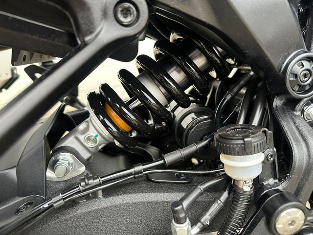 QJMOTOR - srt-800-sx-touring