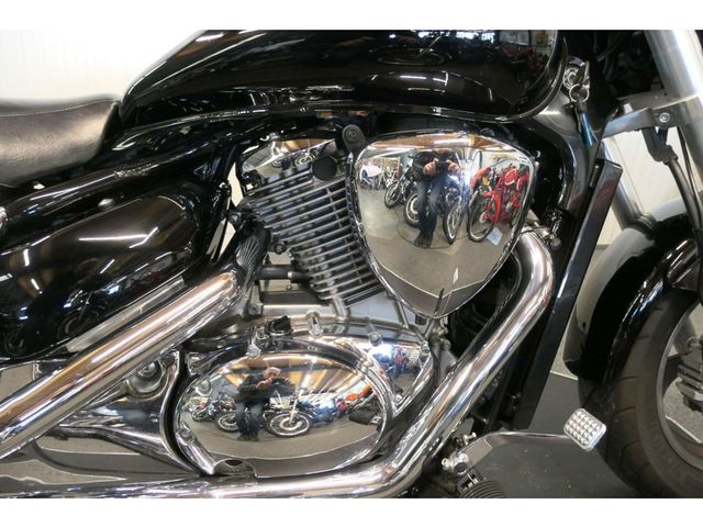 suzuki - 800-intruder