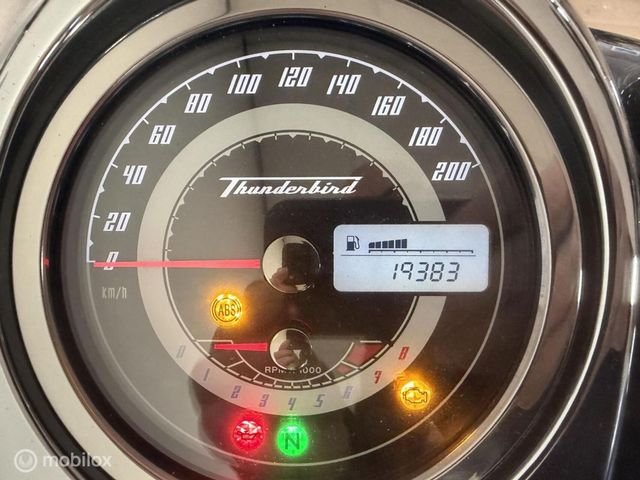triumph - thunderbird