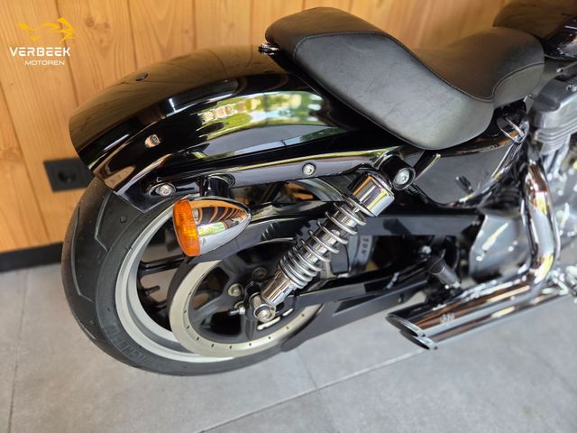 harley-davidson - sportster-low-xl-883-l