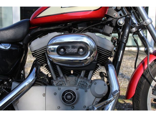 harley-davidson - sportster-custom-xl-1200-c