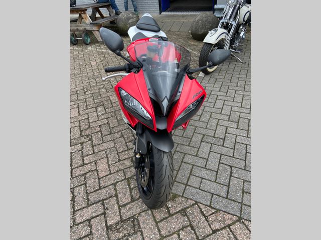 yamaha - yzf-r6