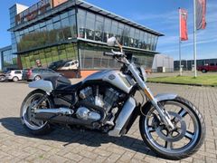 HARLEY-DAVIDSON V-ROD MUSCLE VRSCF