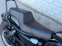 Harley-Davidson XL 1200NS Sportster Iron Saddlemen 5HD BJ 2019 2019 occasion – foto 19 van 20