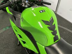 Kawasaki Ninja 300 Performance 2015 occasion – foto 10 van 25