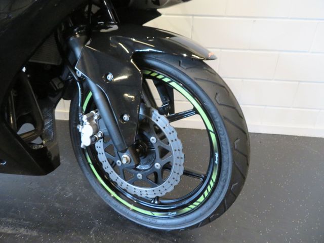 kawasaki - ninja-250-r