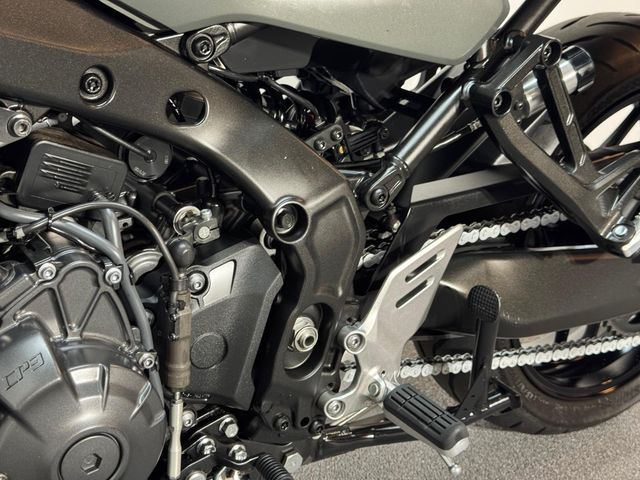 yamaha - tracer-9-gt