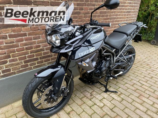 triumph - tiger-800-xr