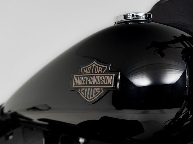 harley-davidson - low-rider-s-fxdls