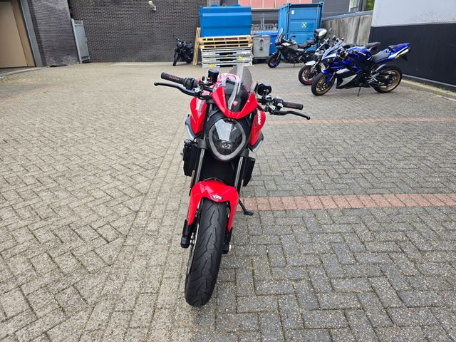 ducati - monster--