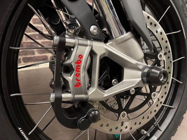 triumph - tiger-900-rally-pro