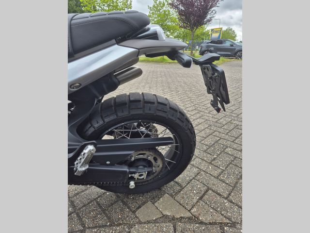 benelli - leoncino-800-trail