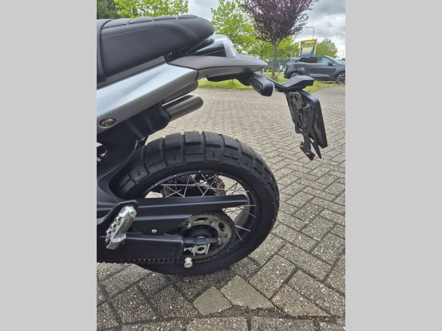 benelli - leoncino-800-trail