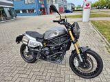 BENELLI LEONCINO 800 TRAIL