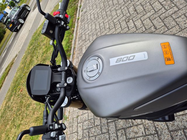 benelli - leoncino-800-trail