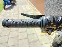 Royal Enfield Guerrilla 450 2025 occasion – foto 13 van 15