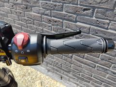 Royal Enfield Guerrilla 450 2025 occasion – foto 14 van 15
