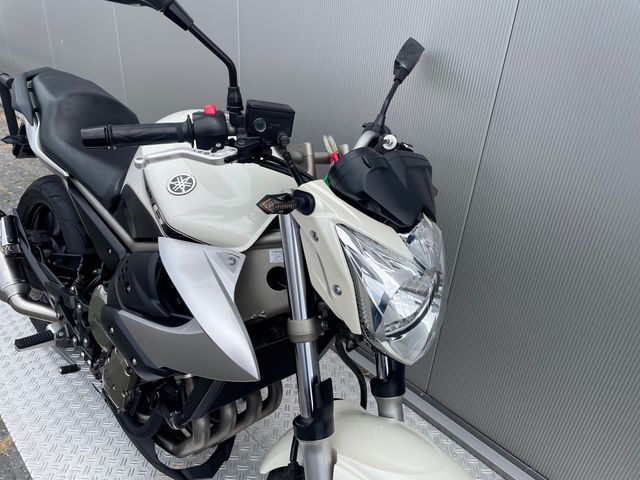 yamaha - xj-6-n---diversion