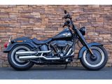 HARLEY-DAVIDSON FAT BOY S FLSTFBS