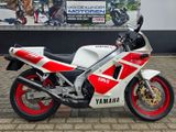 YAMAHA TZR 250