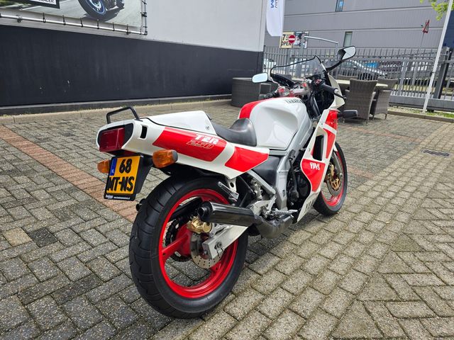 yamaha - tzr-250