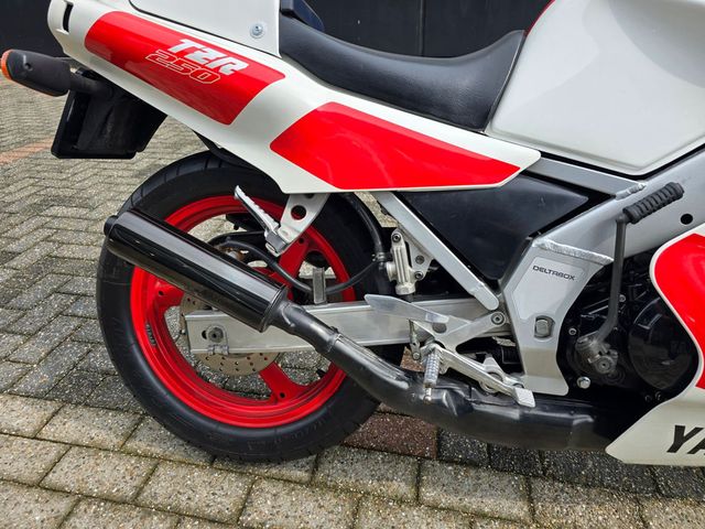yamaha - tzr-250