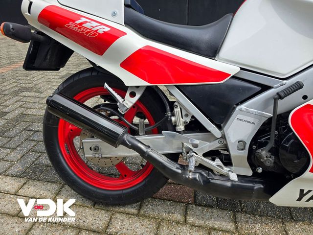 yamaha - tzr-250