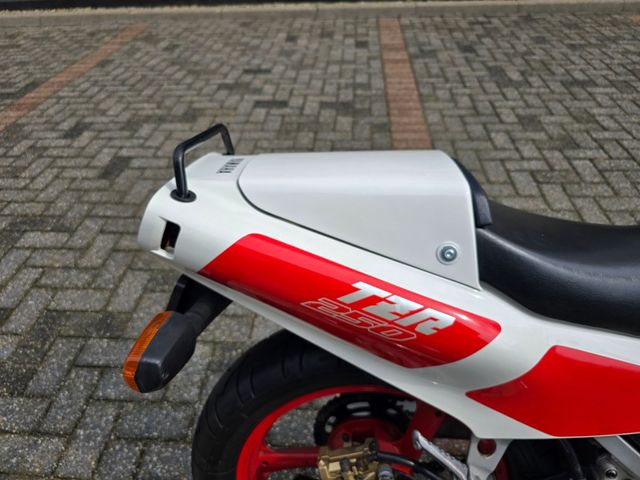 yamaha - tzr-250