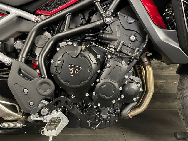 triumph - tiger-900-gt-pro