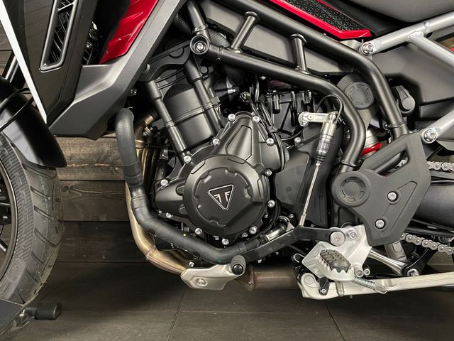 triumph - tiger-900-gt-pro
