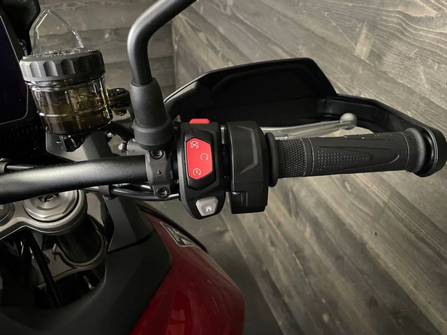 triumph - tiger-900-gt-pro