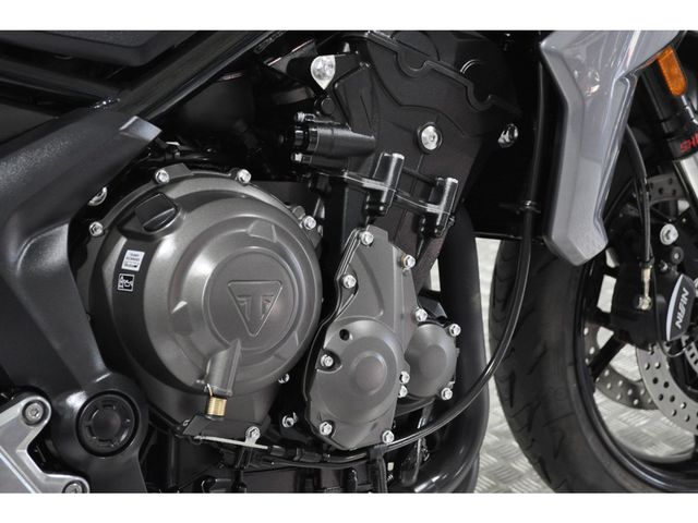 triumph - tiger