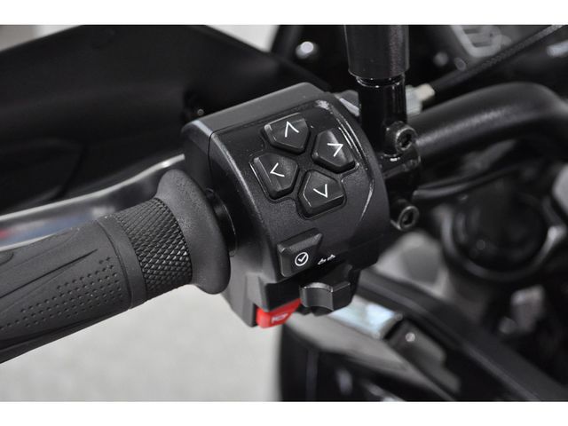 triumph - tiger