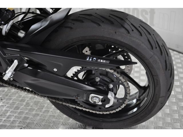 triumph - tiger