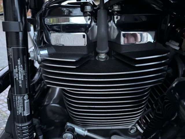 harley-davidson - street-glide-special-114