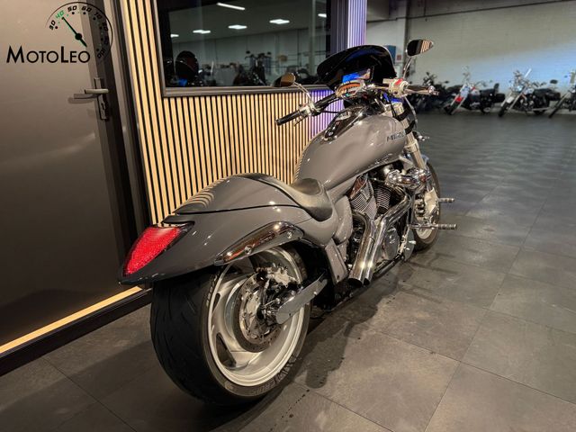 suzuki - m-1800-r-intruder