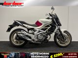 SUZUKI SFV 650 GLADIUS