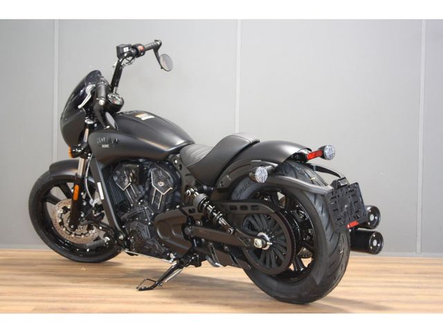 indian - scout-rogue