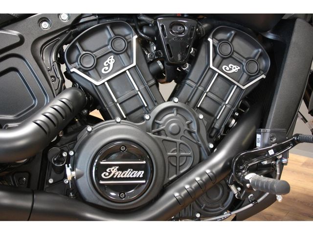 indian - scout-rogue