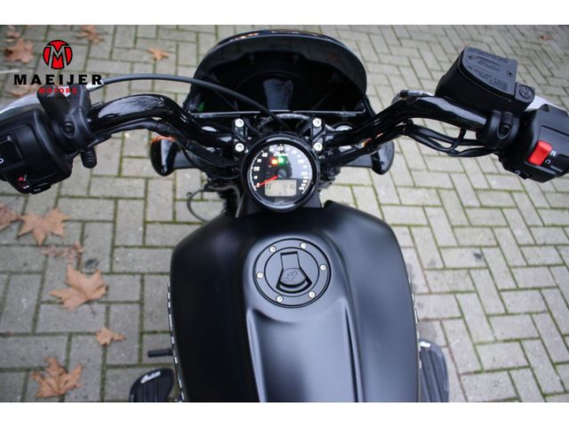 indian - scout-rogue