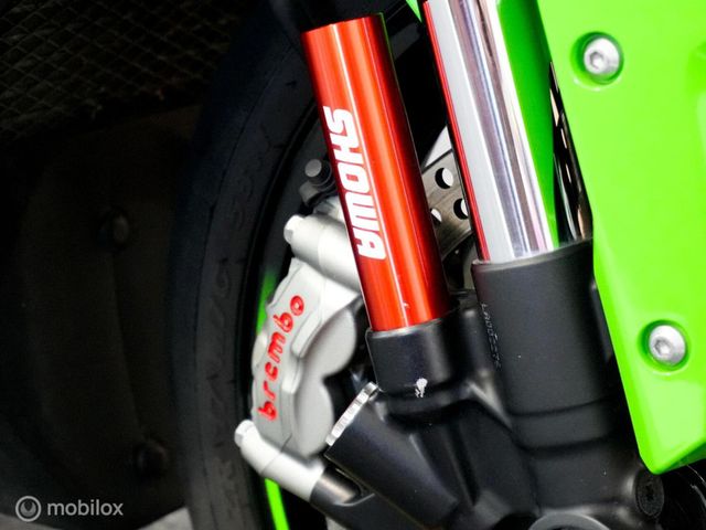 kawasaki - ninja-zx-10r