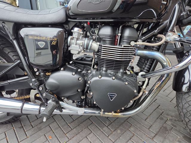 triumph - bonneville