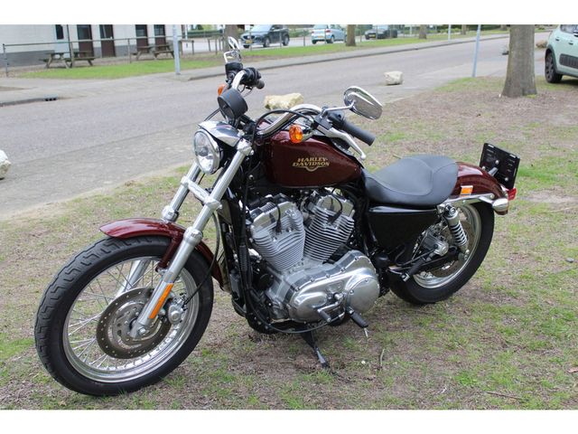 harley-davidson - sportster-low-xl-883-l