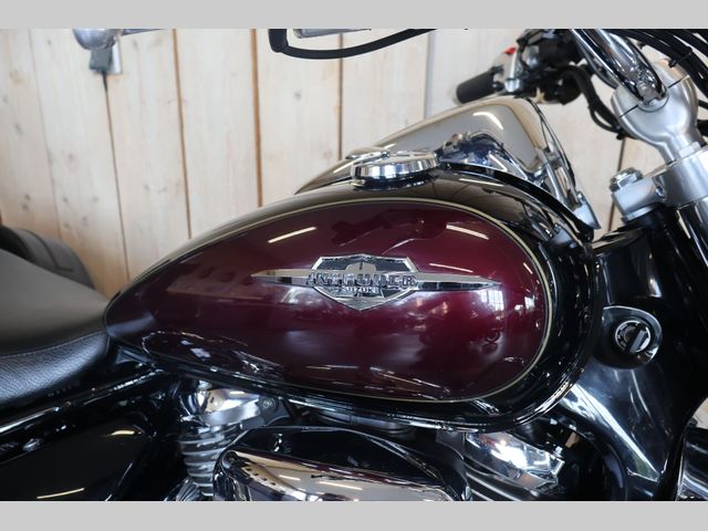 suzuki - intruder-c-800