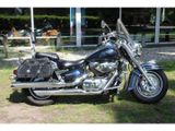 SUZUKI VL 1500 INTRUDER