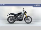 ROYAL ENFIELD BEAR 650