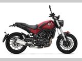 BENELLI LEONCINO 500