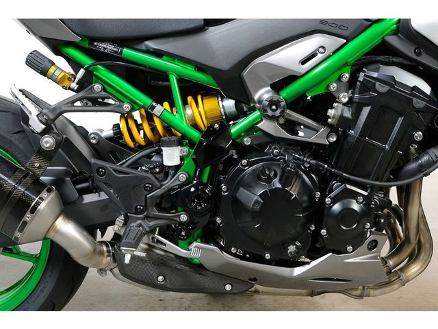 kawasaki - z900-se-performance
