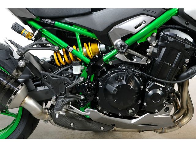 kawasaki - z900-se-performance