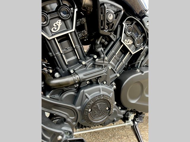 indian - scout